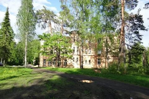 Зеленый холм туберкулезная