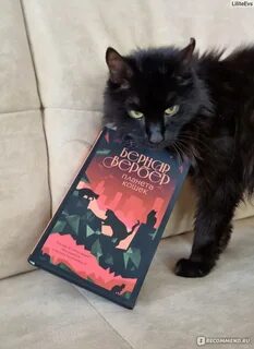 Мир кошек книга