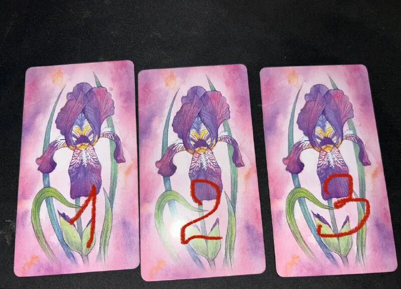 Оракул чувств. Таро оракулы с советами высших сил. Оракул чувств. Оракул чувств. Оракул чувств ирины светской.