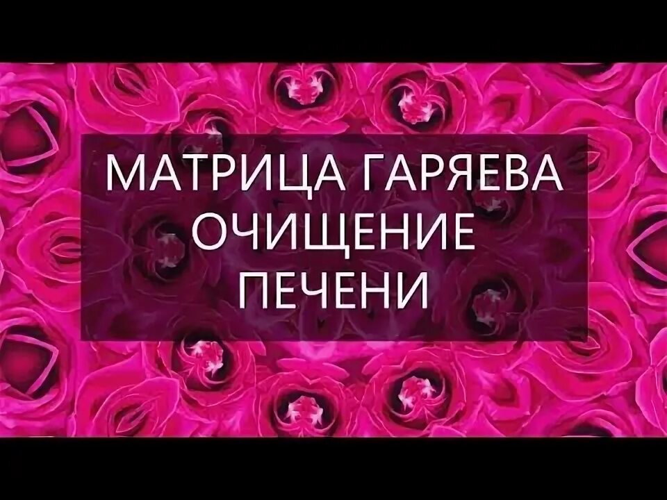 Матрица Гаряева очищение печени. Гаряев исцеление печени. Гаряев матрица для очищения печени. Матрица Гаряева Исцеляющая матрица коррекция иммунной системы.