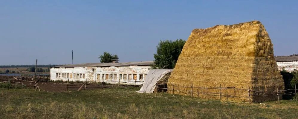 Васильевка Николаевская область. Херсонская область Николаевский район. Село Владимировка Николаевская область. Село Владимировка Николаевской области Украина. Васильевка херсонская область