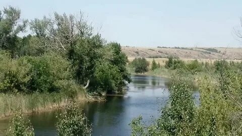 Донская нива ростовская область
