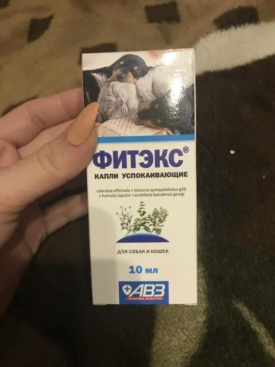 Можно ли давать кошке успокоительное. Успокоительное для кошек. успокоительные препараты для кошек. успокоительные капли. успокаивающие капли для кошек.