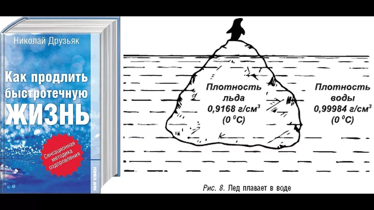 Книга Николая Друзьяка как продлить быстротечную жизнь. Плотность льда и воды.