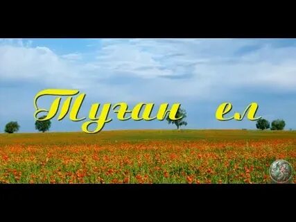Жігіттер туған жер