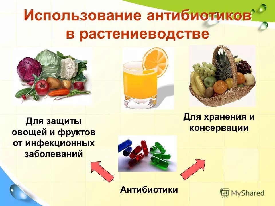 Применение антибиотиков. Применение антибиотиков в медицине. Антибиотики применяемые в медицине. Значение антибиотиков в медицине. Можно принимать антибиотики с витаминами