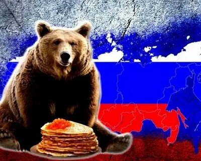 Российский медведь картинки