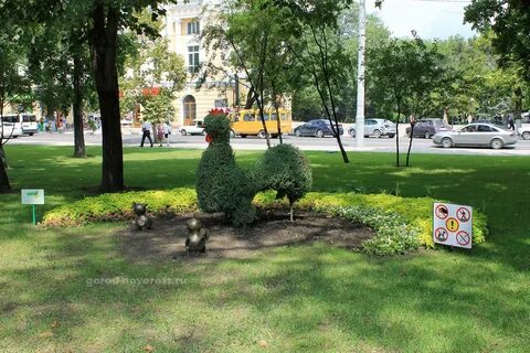Южный парк новороссийск