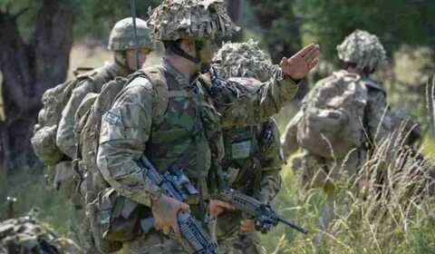 British forces