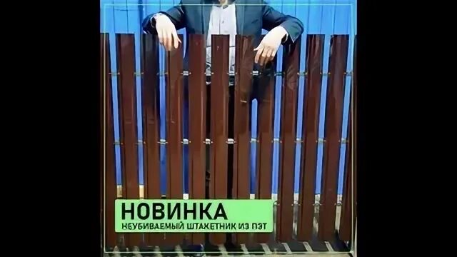 Штакетник пэт