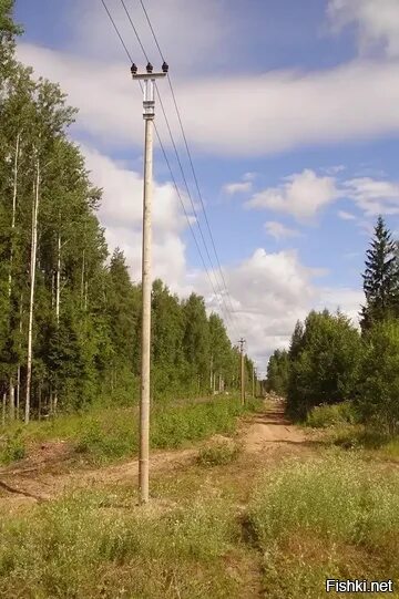 Линия 0.7. Деревянные столбы вл 10 кв. Фидер вл 10кв. Опора вл 10 кв. Деревянные опоры вл 10 кв.