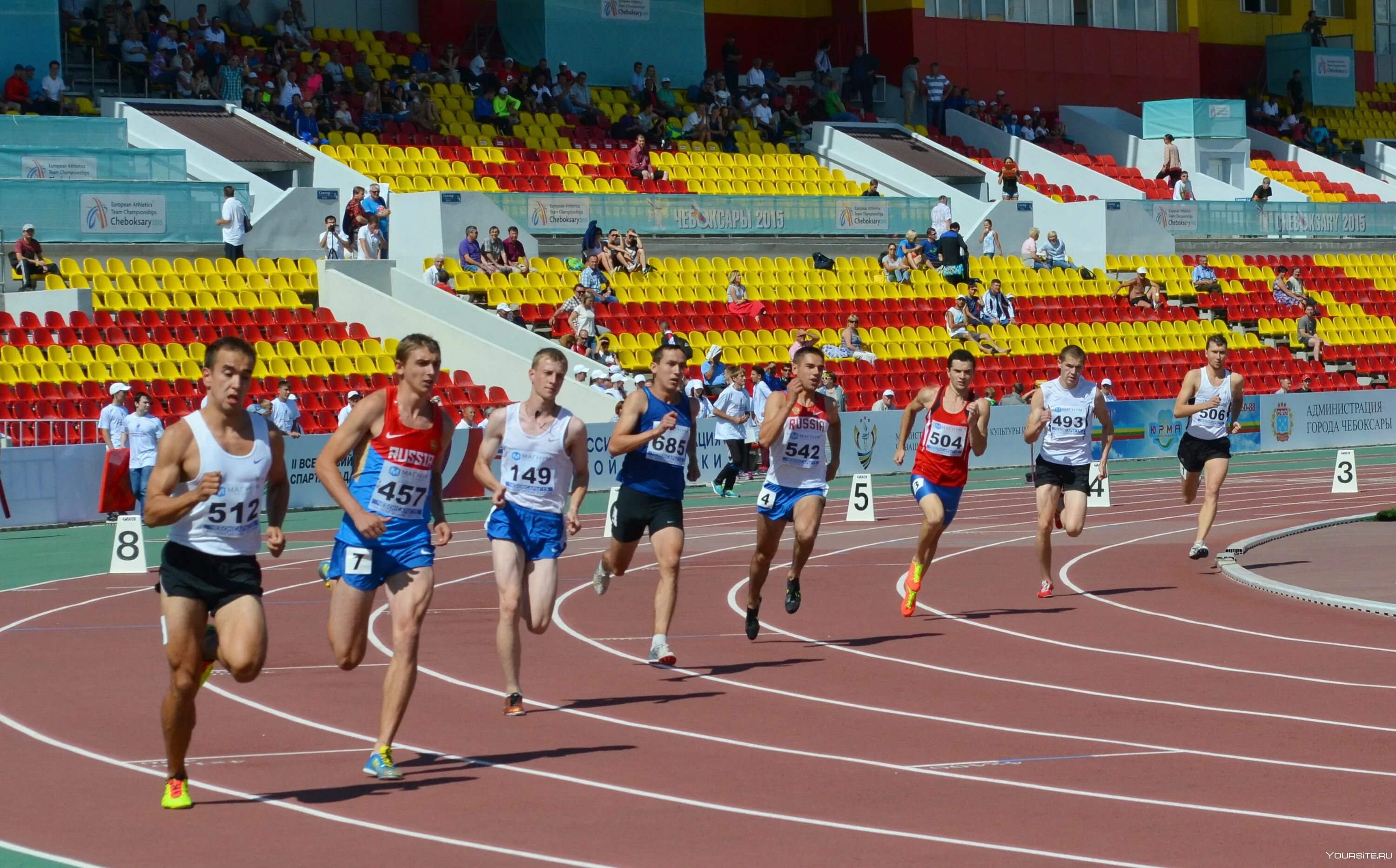 Первая спортивная организация