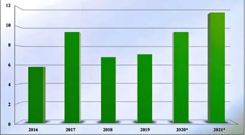 2021 финансовый год