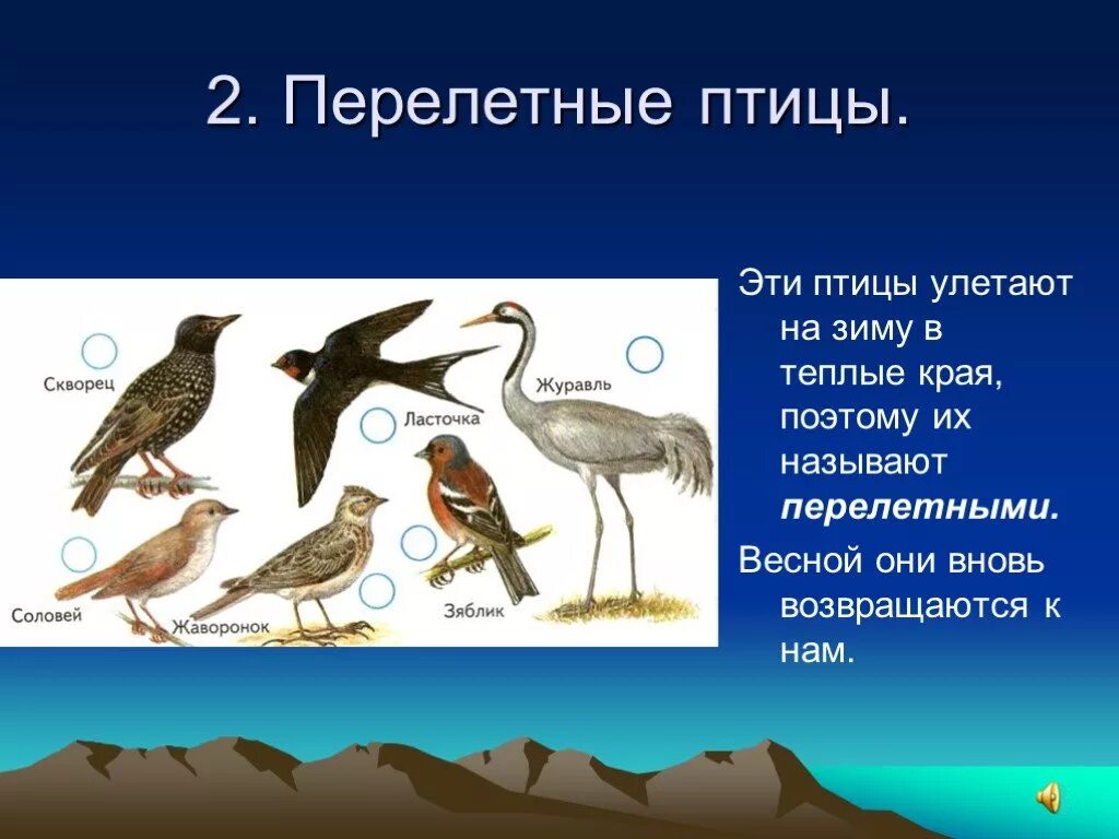 Птицы перелетают 2. Перелетные птицы. Особенности перелетных птиц. Доклад на тему перелетные птицы. Перелетные птицы 2 класс.