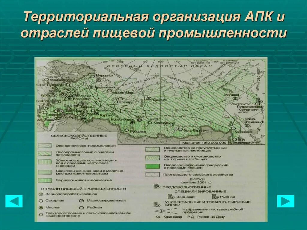 Территориально отраслевая организация. Основные центры агропромышленного комплекса России. Агропромышленный комплекс России АПК 9 класс. Центры пищевой промышленности в России на карте. Пищевая и легкая промышленность России.9 класс карта.