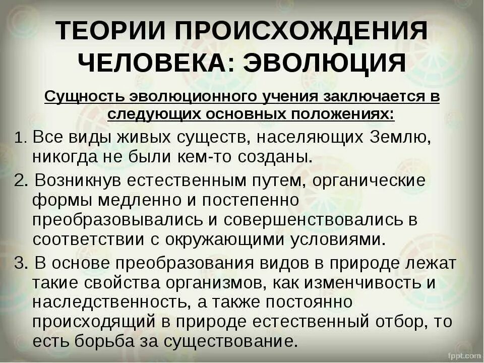 Теории про человека. Теории происхождения человека. Гипотезы происхождения человека. Теория происождениячеловека. Концепции происхождения человека.