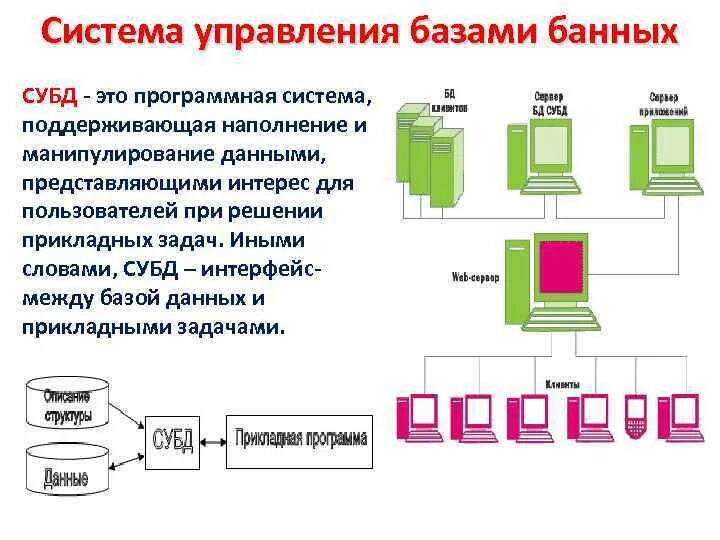 Программная система управления базами данных