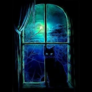 Кошка полночь