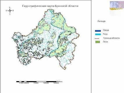 Природные ресурсы брянской
