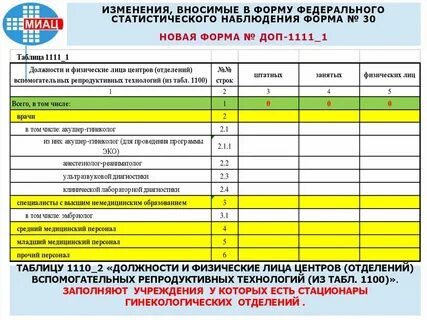 Годовая форма федерального статистического наблюдения
