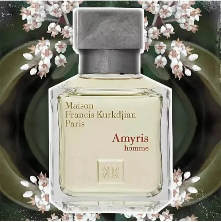 Maison amyris homme