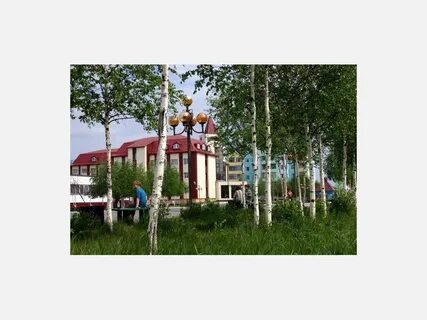 Лангепас покачи