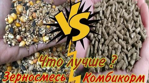 Видео комбикорм