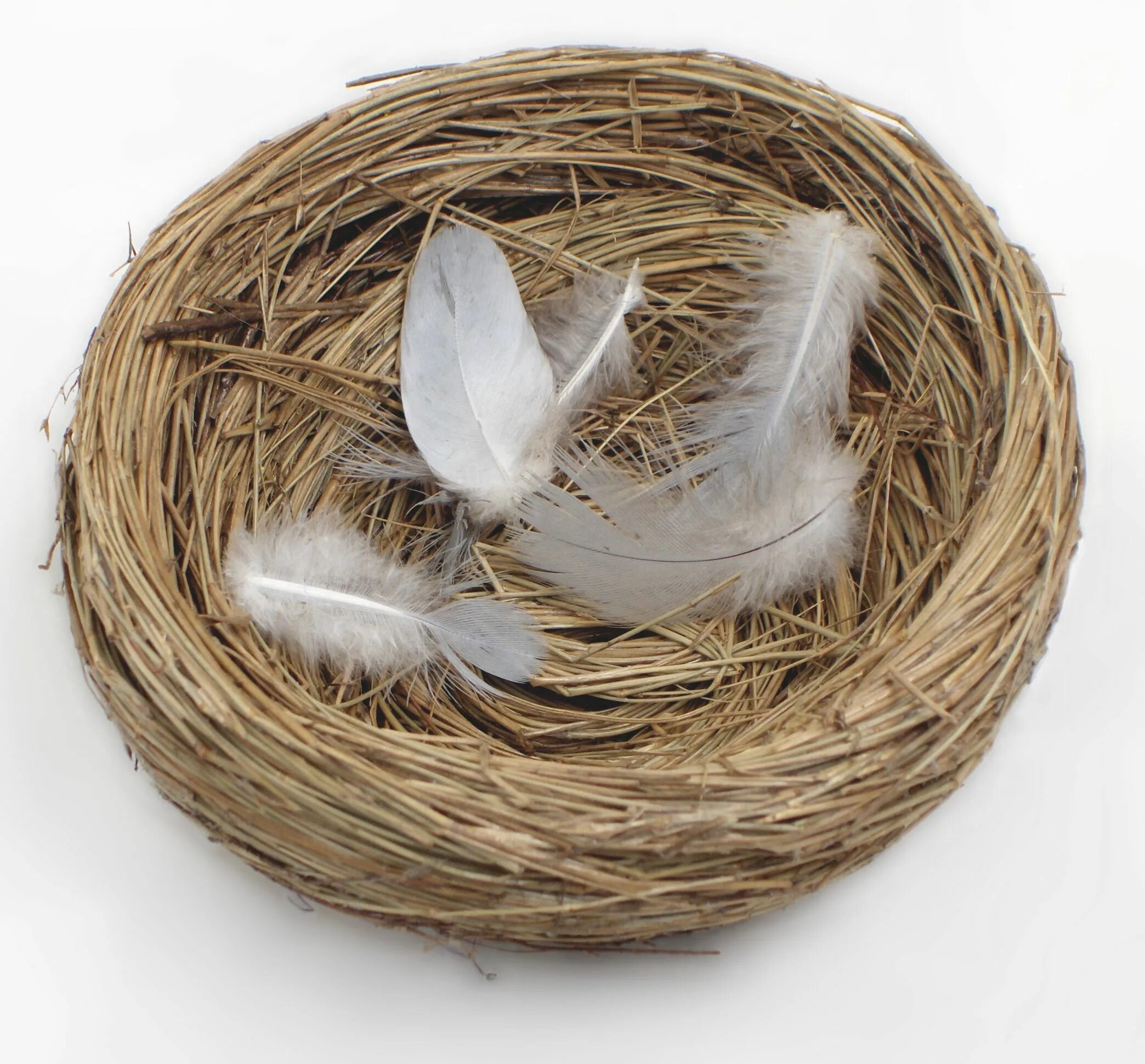 Картинка гнездо. Гнездо. Пустое гнездо. Nest гнездо. Гнездо для птиц..