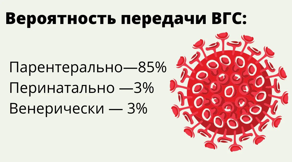 Гепатит ц что это как передается. Гепатит с передается. возбудитель гепатита а. гепатит с как передается. хронический вирусный гепатит с как передается.