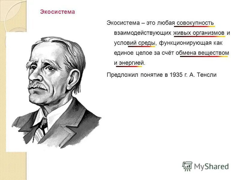 Термин экосистема был предложен в 1935. Термин экосистема был предложен в 1935. Тенсли. Артур тенсли экосистема. Ученый эколог тенсли.