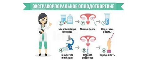 Подготовка к инсеминации
