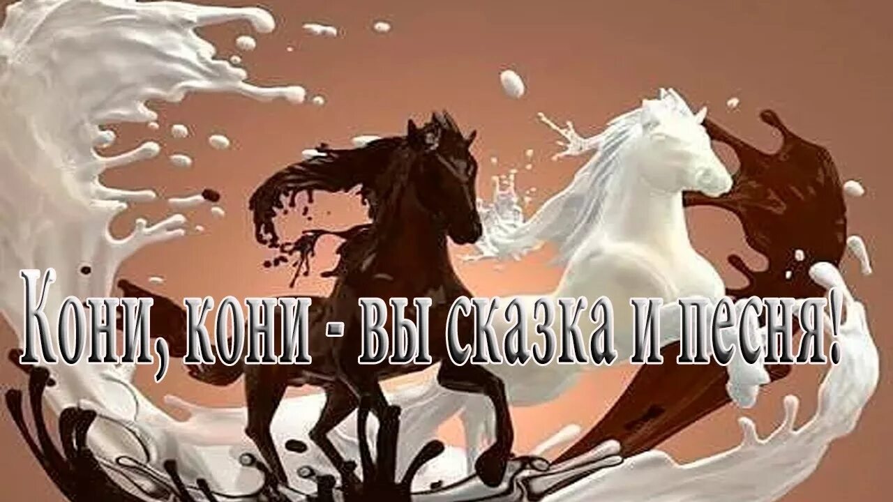 Песня кони кони. Музыканты на лошадях. Кони ветра калмыкия. Я подозвал коня. Песня кони вы кони.