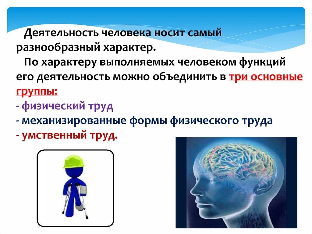 Основные функции личности. Функции человека. Деятельность человека носит. Человеческие функции. Деятельность человека носит характер.