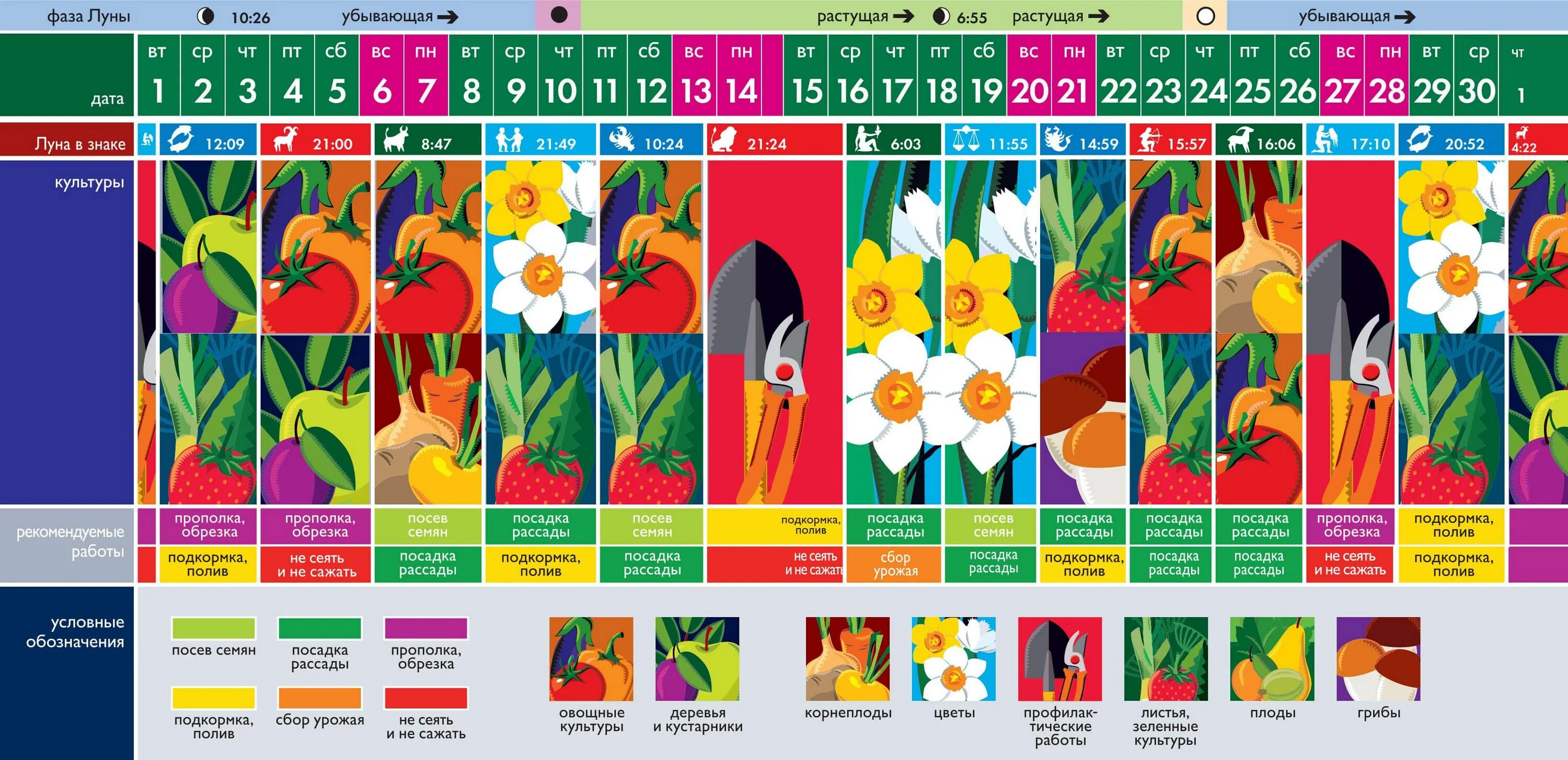 Лунный календарь на июнь 2021. Лунный календарь садовода 2021. Лунный календарь на июнь 2021 огородника. Календарь цветы.