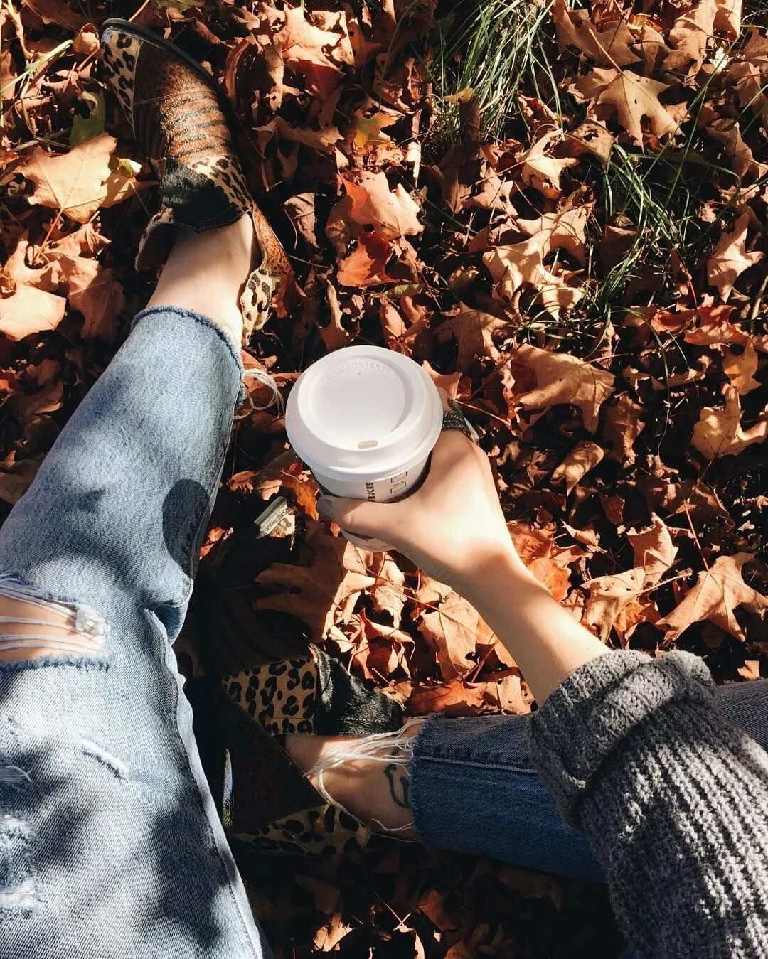 Ценить эстетику. Когда ты будешь ценить то что у тебя есть а не. Ценить эстетику. Душевные картинки. Осень кофе девушка.