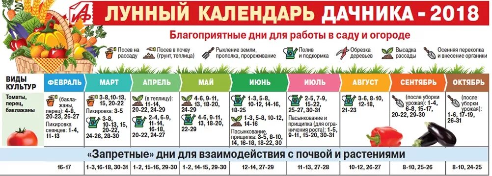 В какие дни можно высаживать. Календарь посадки рассады. Календарь посадки помидор. Календарь посадка рассады томатов в грунт. Календарь высадки рассады в грунт томаты.