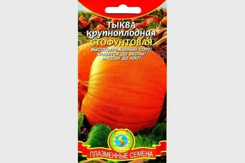 100 тыкв