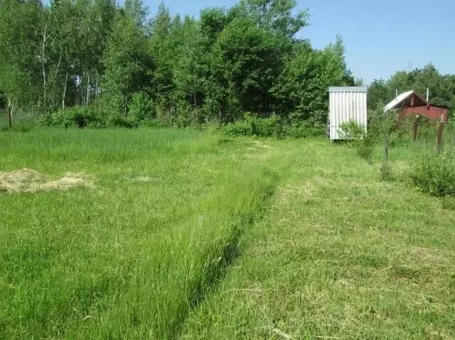 Погода в ланьшино серпуховского. Ланьшино серпуховский район. серпуховский район 355 кламет. моск.обл дер ланьшино. ст дорожник участок 67.