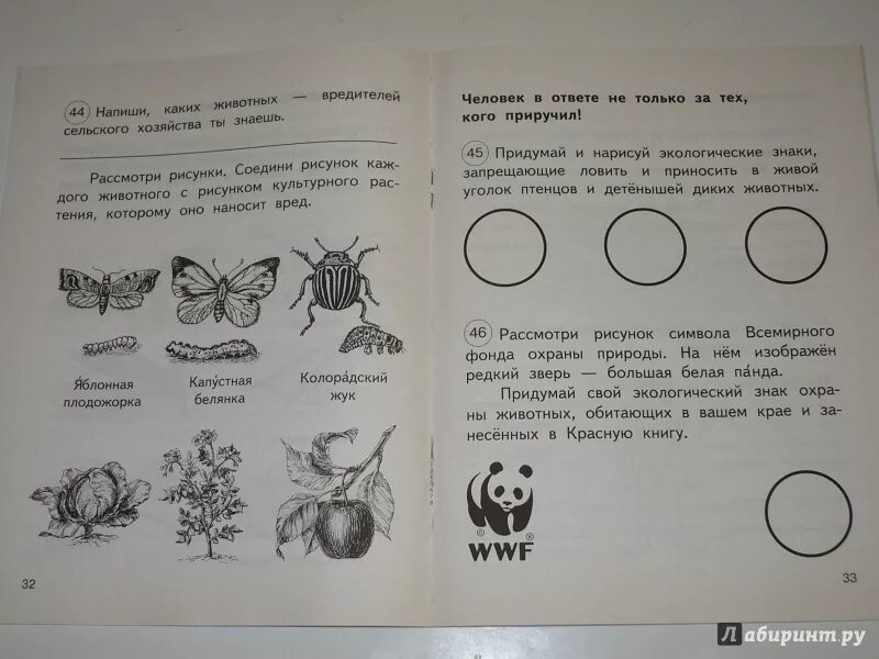 Рассмотри рисунки прочитай слова