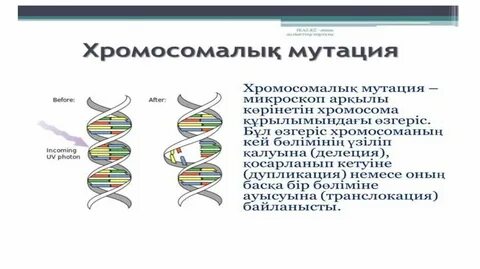 Орыс порносы: Әйелімді досыммен сиқыстыру
