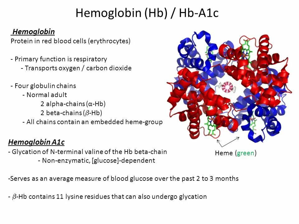 Пониженные глобулины в крови. Hemoglobin a1c. Glycated hemoglobin. Бета 1 глобулин. Glycated hemoglobin Analysis.