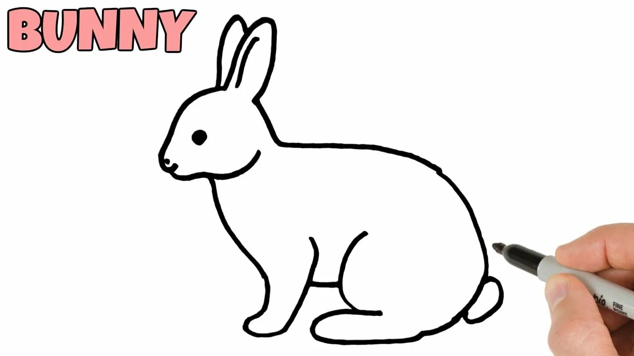 Правильная зайка. Азбука рисования кролик. Учимся рисовать кролика. Кролик контур. Как нарисовать зайца.