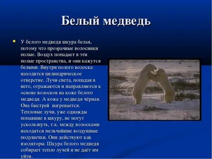 Потому что белый