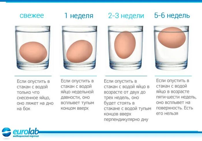 Свежесть яиц. Яйцо всплывает. Если яйцо всплывает. Если яйцо всплывает в воде.