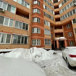 Сходня вишневая