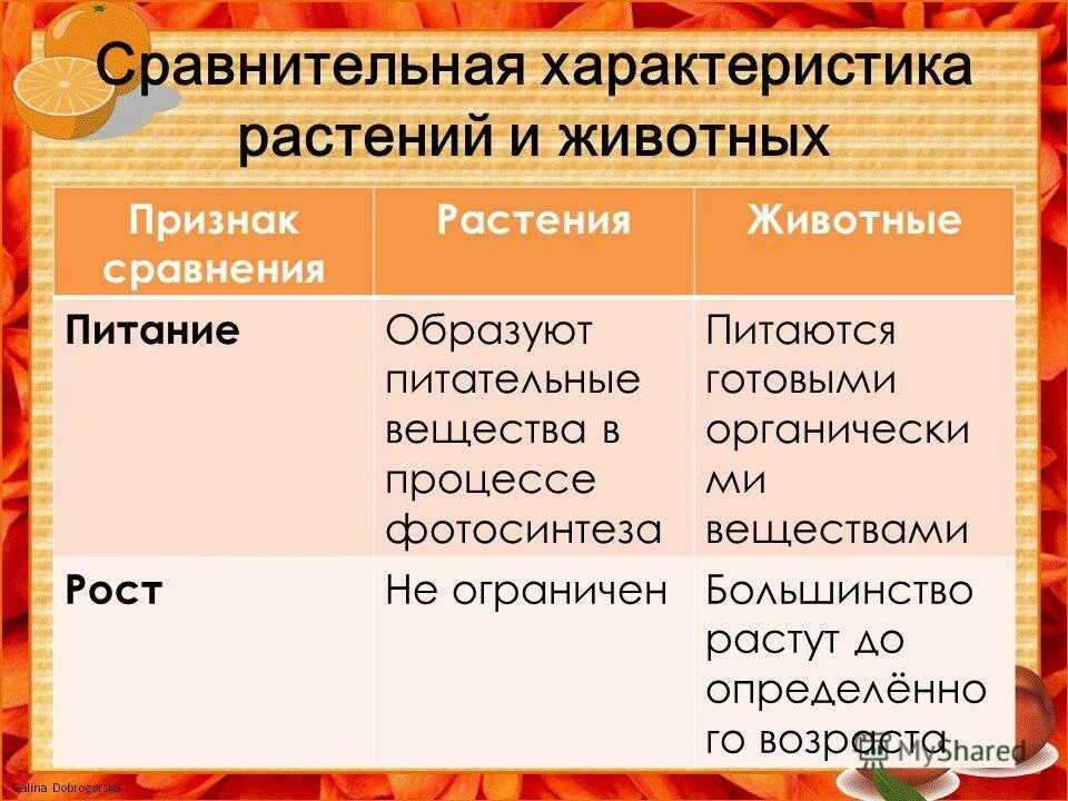 Раздражимость у растений и животных. Запасные питательные вещества растительной клетки и животной клетки. Сравнение клеток животных и растений мембрана клетки. Питание животных биология. Отличия животных от растений 5 класс биология.