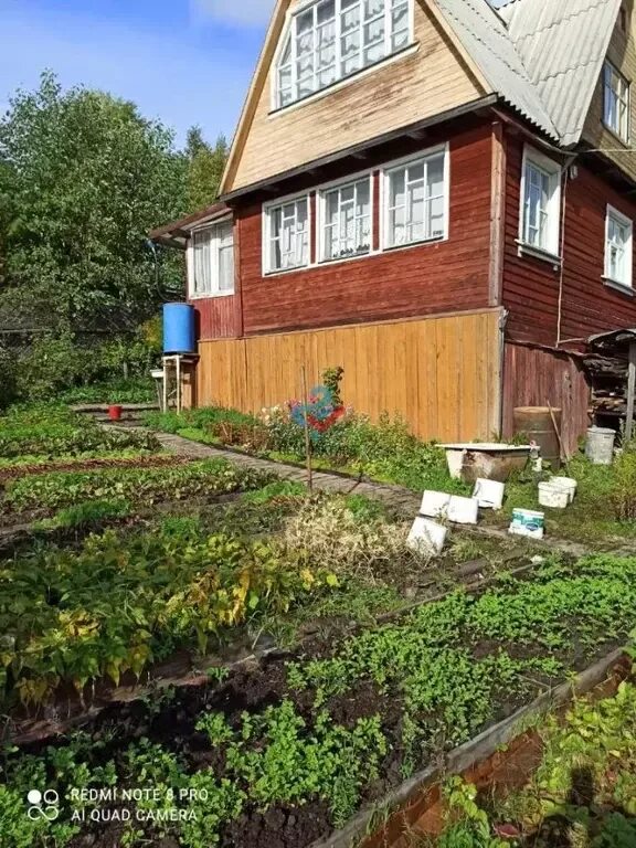 Снт полет 1. Снт полет. дачи в архангельске. снт полет архангельск. дачная 65 архангельск.