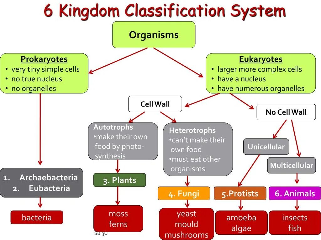 Classification system. Scientific classification. Classification of Living Organisms is. Classification of Computer.