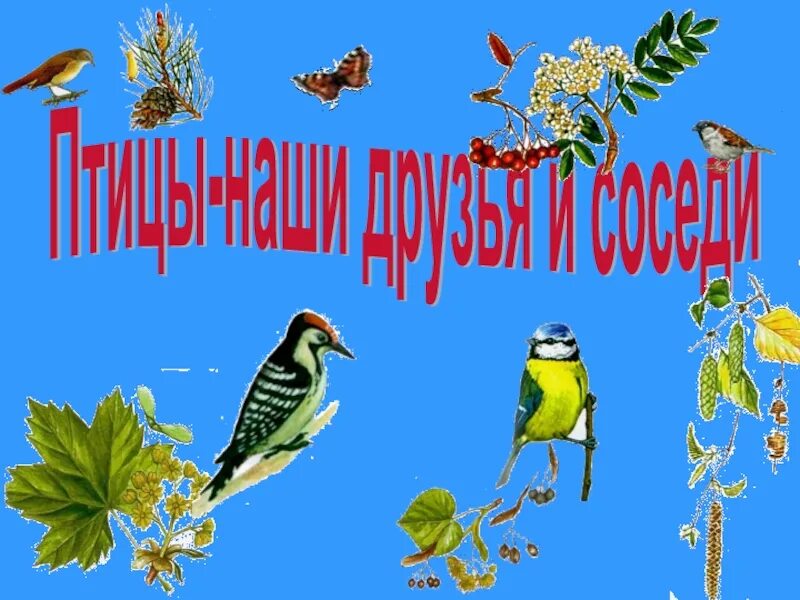 Певчие птицы наши верные друзья нужно тире. Птицы наши друзья. Пчитчы нашы друзя. Берегите птиц. Птицы берегите птиц наши.