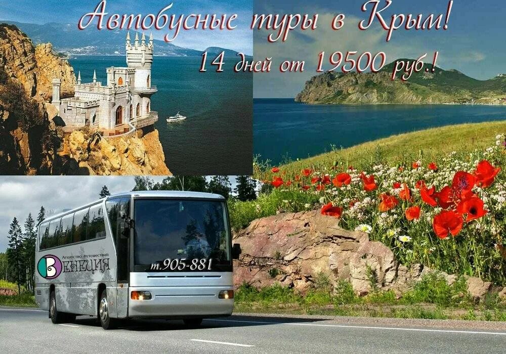 Автобусный тур на юг. Автобусные туры на море. Автобусный тур к морю. Автобусные туры на черное море из тамбова. График автобусных туров.